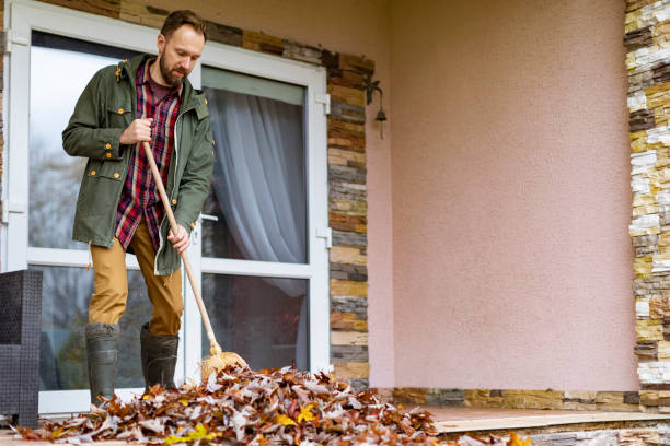 Best Electronics Removal Services  in Avilla, AR